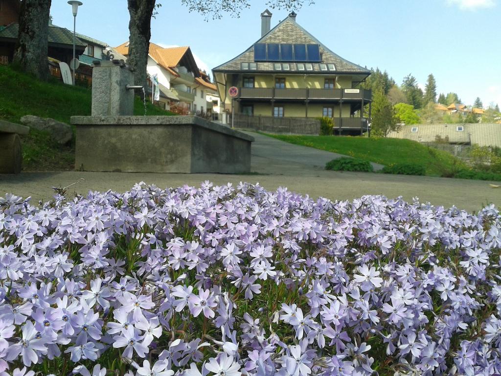 Hotel Sternen - Anno 1769 Todtnauberg Esterno foto